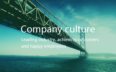 Company culture